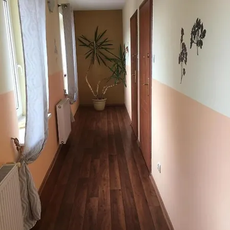 - Konrad Hostel